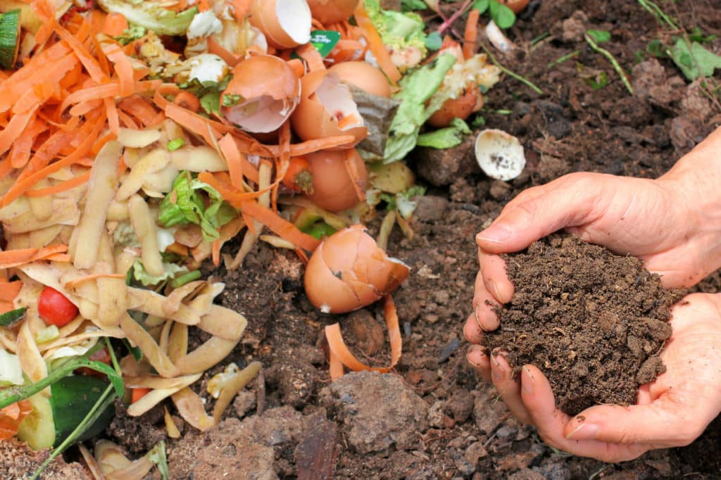 Essensreste Kompostieren