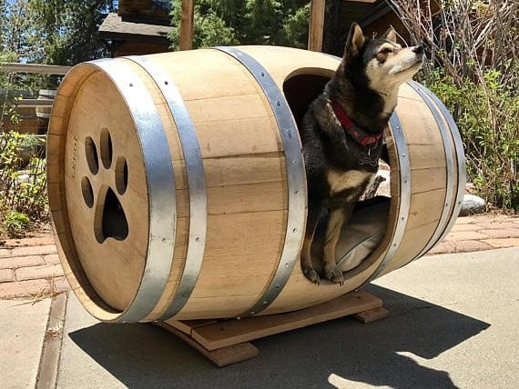 Hund im Barrel