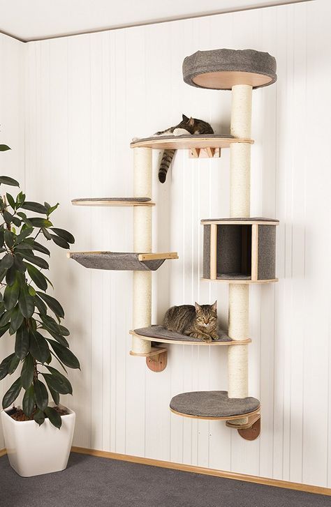 Ein Aufhänge-Bäumchen für die Katzen