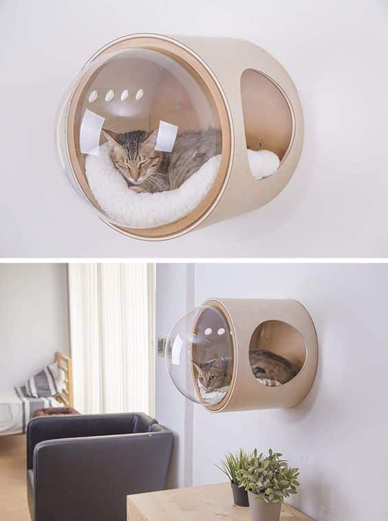 Ein Platz für Relax Ihrer Katzen an der Wand