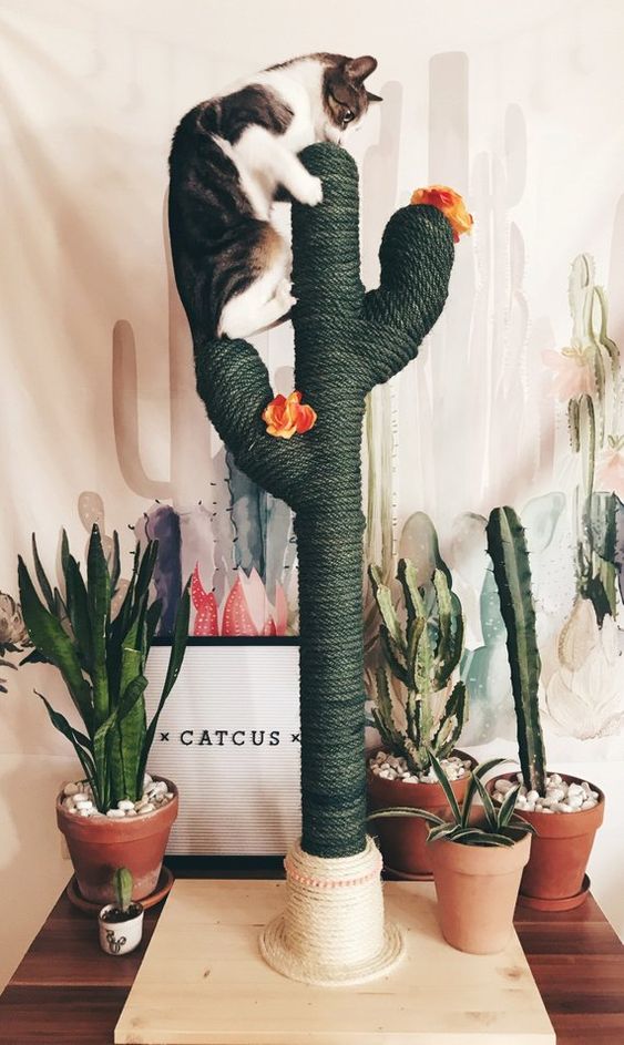 Ein Katzenbaum in Form eines Kaktusses