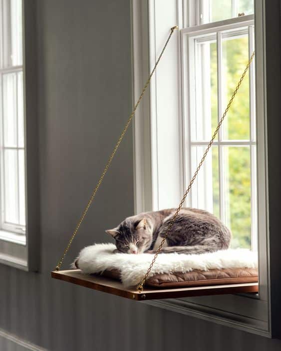 Eine Katze schläft auf einer Aufhänge-Latte