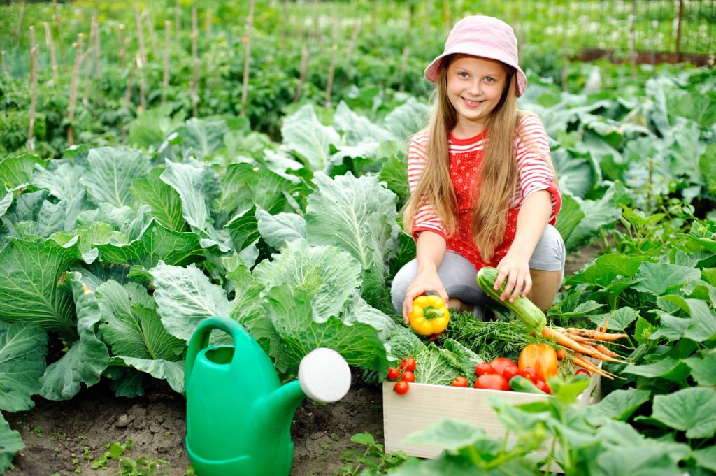 Ein Mädchen sammelt Gemüse
