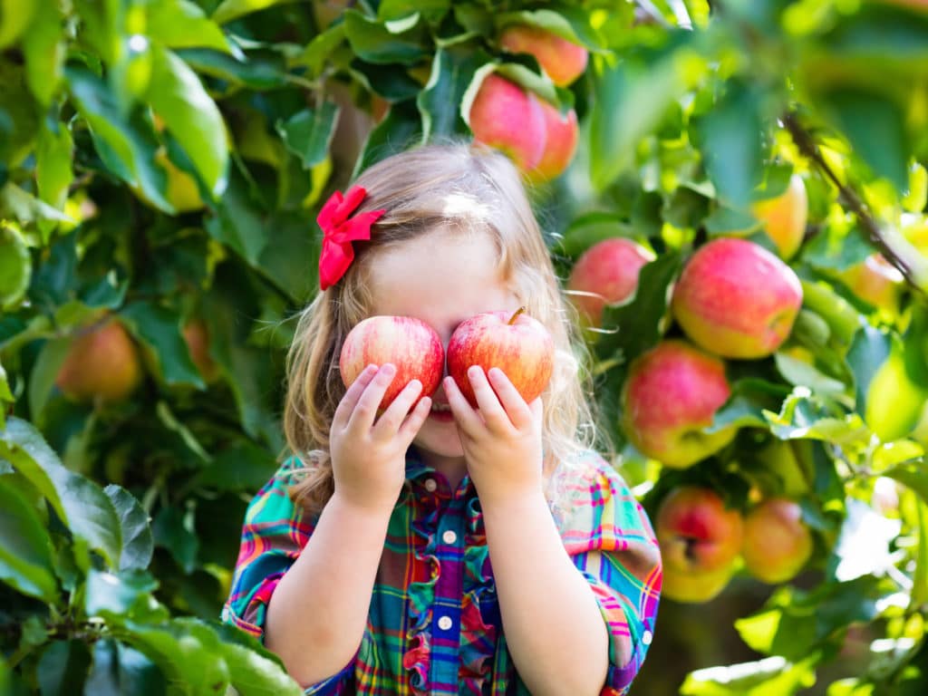 Ein Mädchen im Garten hat 2 Äpfel