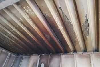 Feuerausbruch in einem Gartenhaus von GARDEON