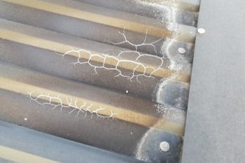 Feuerausbruch in einem Gartenhaus von GARDEON