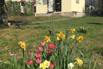 Das neue Gartenhaus bei einem der GARDEON Kunden