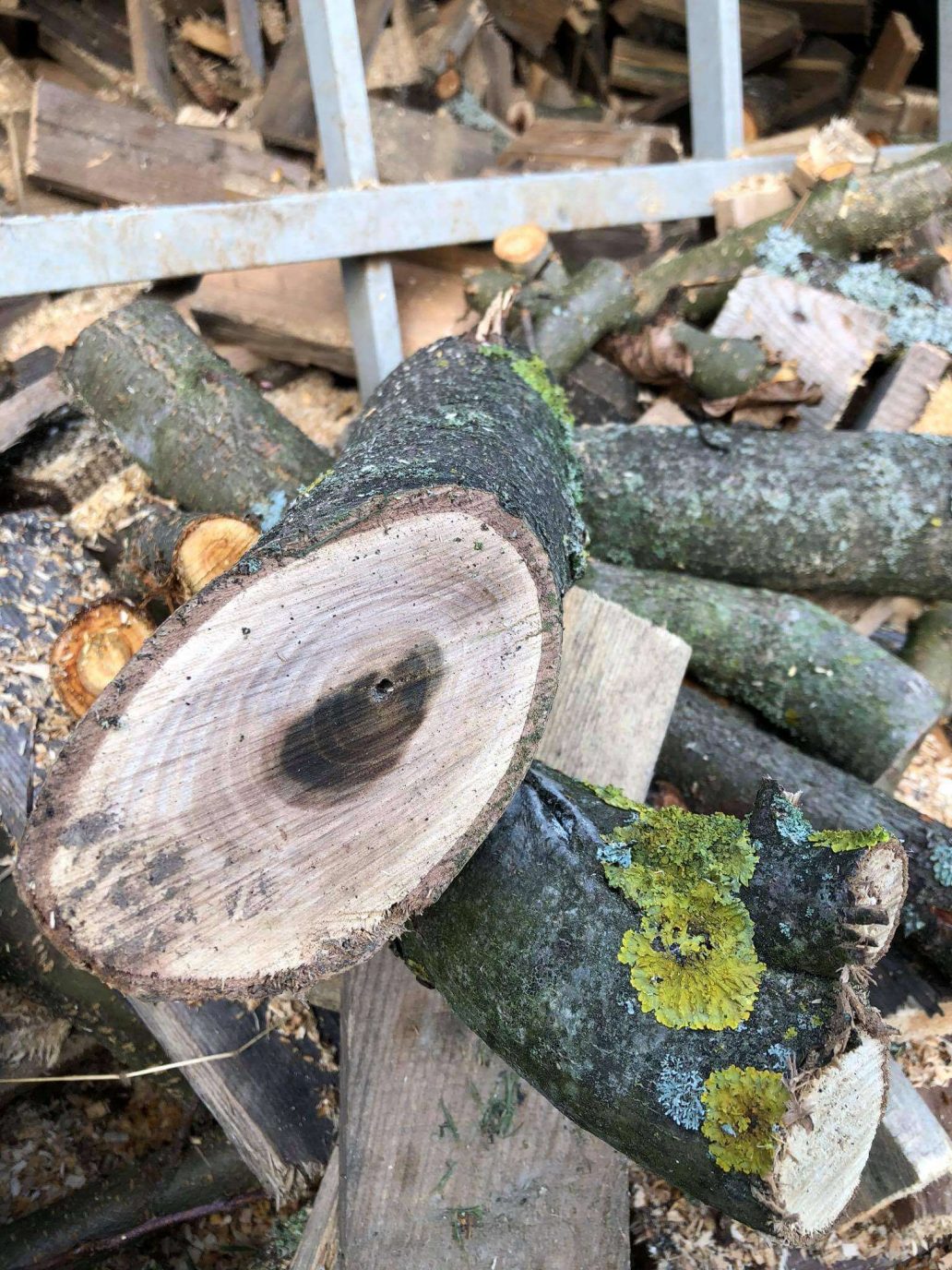 Holz und Äste