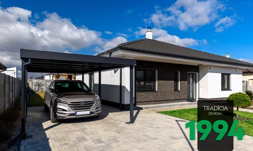 Einzelcarport GARDEON mit einem Pultdach