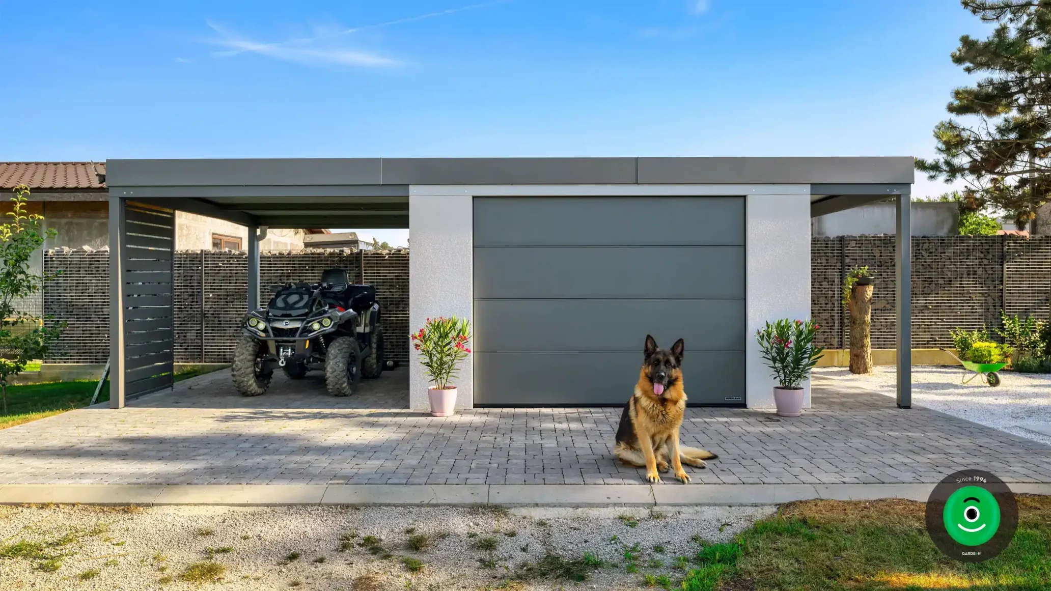 Hund in der Nähe des Gartenhauses mit einem Garagentor