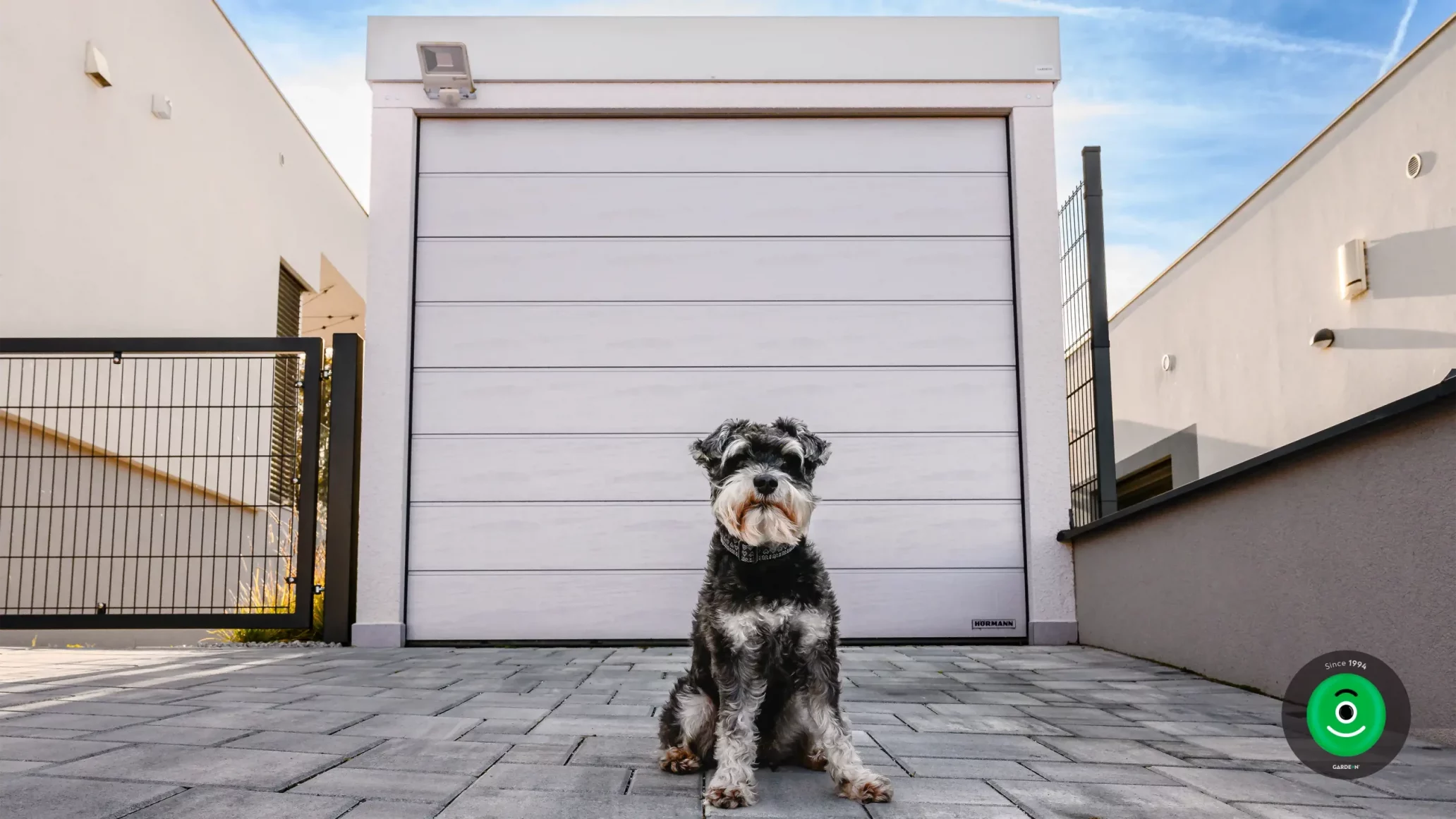 Hund vor einer weißen Garage mit silbernem Tor